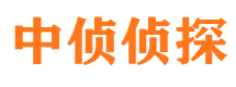 大方寻人公司